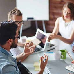 Entorno de la organización